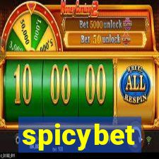 spicybet-3.com