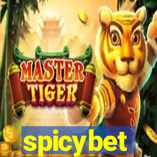 spicybet-4.com