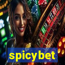 spicybet-4.com
