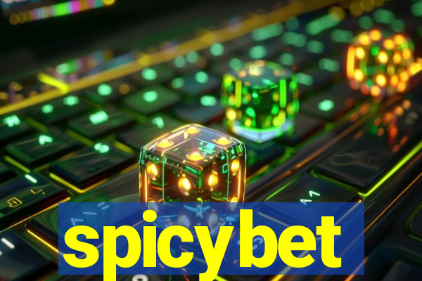 spicybet-4.com