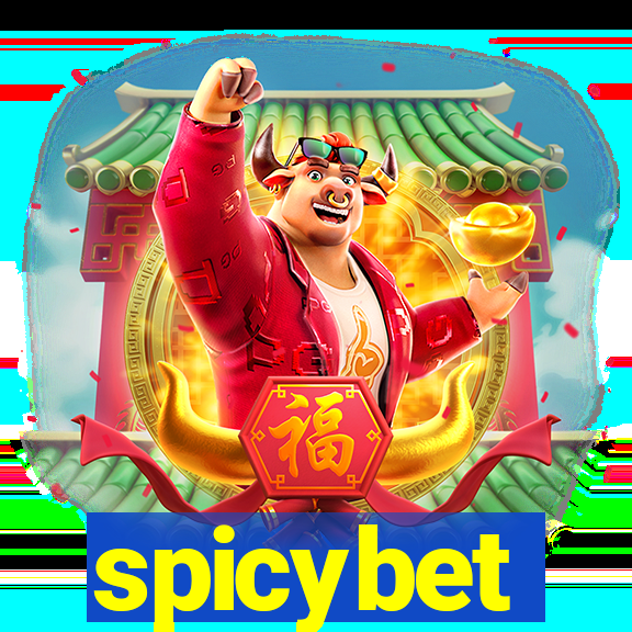 spicybet-4.com