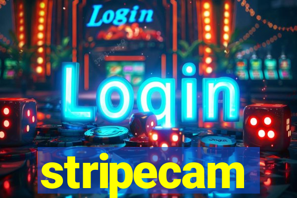 stripecam