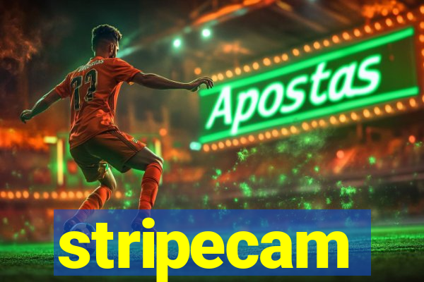 stripecam