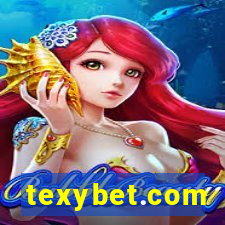 texybet.com