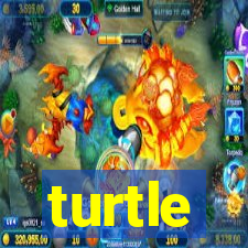 turtle-ty.com