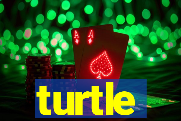 turtle-ty.com