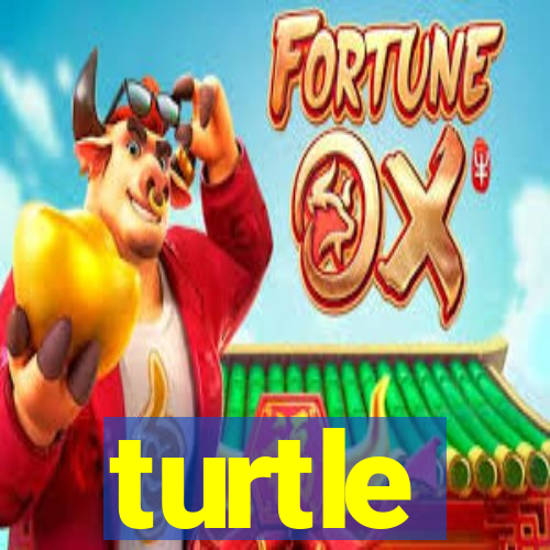 turtle-ty.com