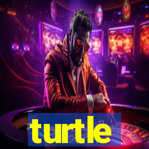 turtle-ty.com