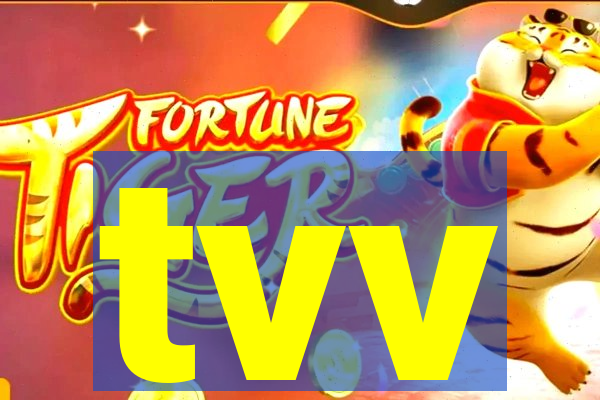 tvv-pg.com