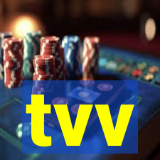 tvv-pg.com