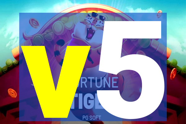 v5-lewa.com