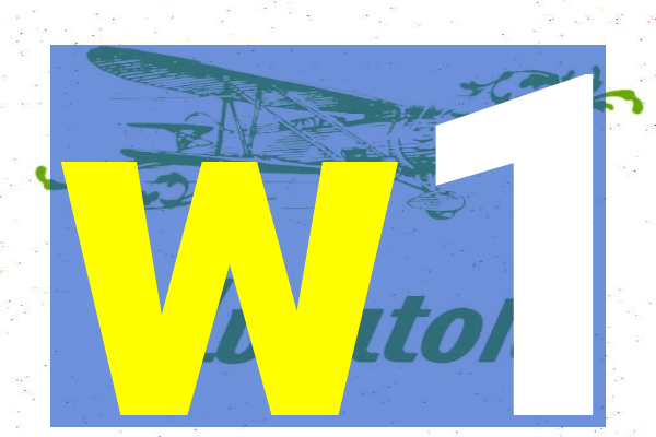 w1-hairpinpg.com