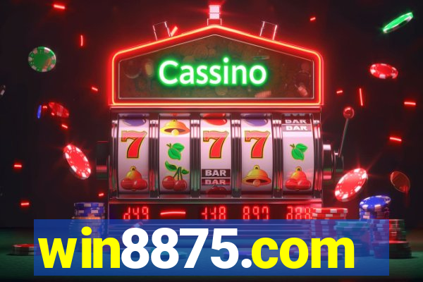 win8875.com