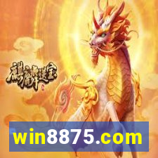 win8875.com