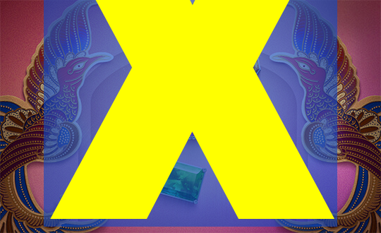 x-videio