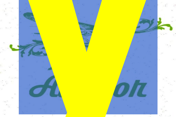 y-vipcoin.com